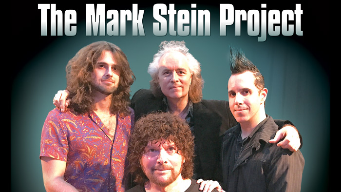 Mark Stein project